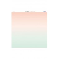MIAMI PEACH Colección de Papeles - Adela - The_mint_feather