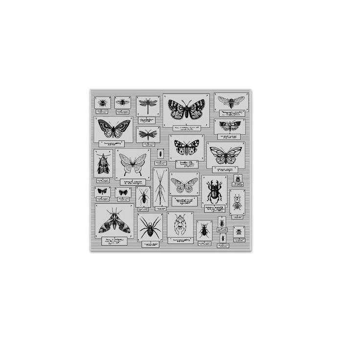 Bug Collection Bold Prints - Background Cling Stamp HEROARTS