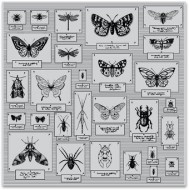Bug Collection Bold Prints - Background Cling Stamp HEROARTS
