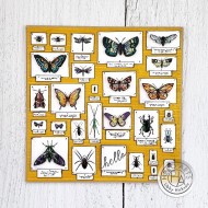 Bug Collection Bold Prints - Background Cling Stamp HEROARTS
