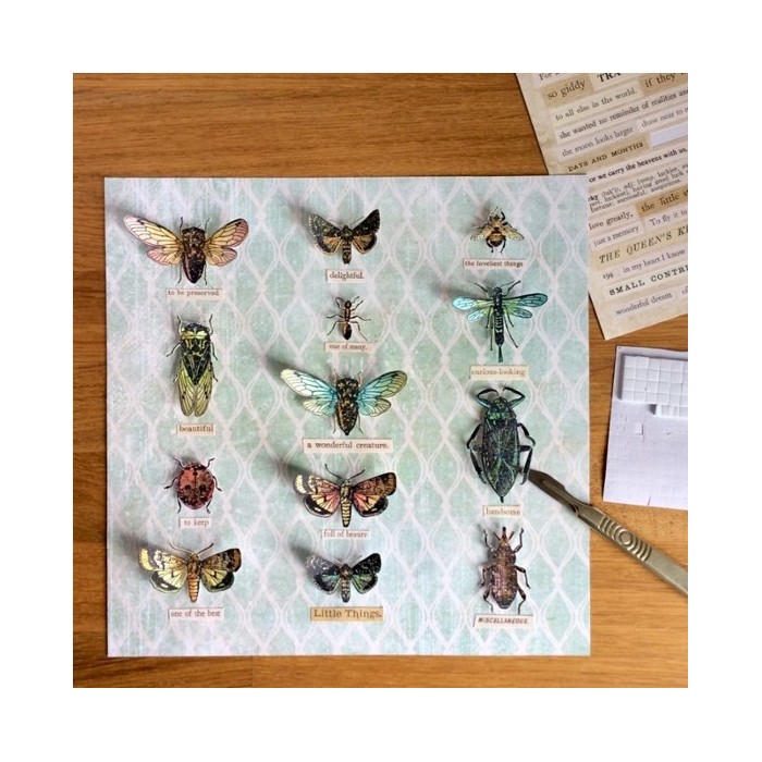 TIM HOLTZ  TROQUELES ENTOMOLOGY 663068