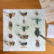 TIM HOLTZ  TROQUELES ENTOMOLOGY 663068