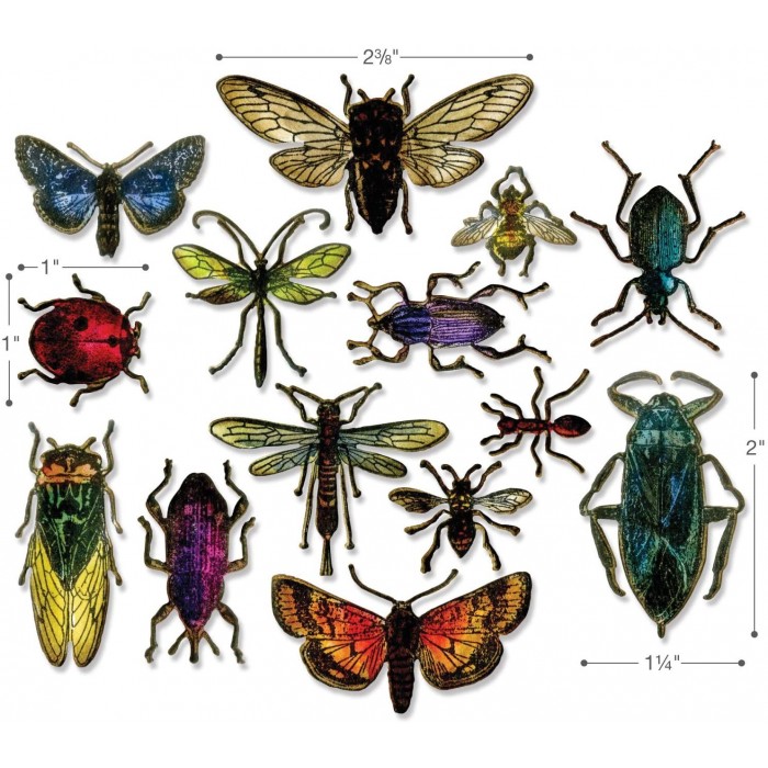 TIM HOLTZ  TROQUELES ENTOMOLOGY 663068