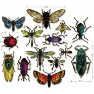 TIM HOLTZ  TROQUELES ENTOMOLOGY 663068