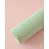 Ecopiel Rayas Menta Johanna Rivero