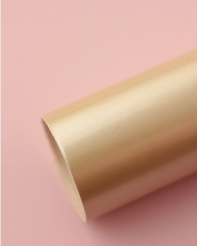 Ecopiel Charol Champagne Johanna Rivero JRCHA01