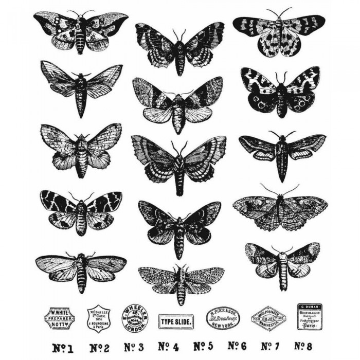 SELLOS Tim Holtz Cling Mount Stamps: Moth Study CMS436