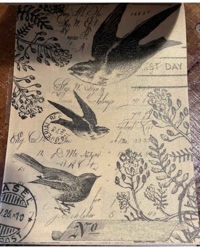 PAD DE VELLUM– VINTAGE STORIES – PRIMA  FINNABAIR