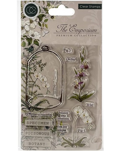 Sello de Polimero Craft Consortium A5 Clear Stamps Botany, The Emporium CCSTMP020