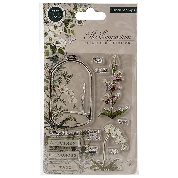 Sello de Polimero Craft Consortium A5 Clear Stamps Botany, The Emporium CCSTMP020