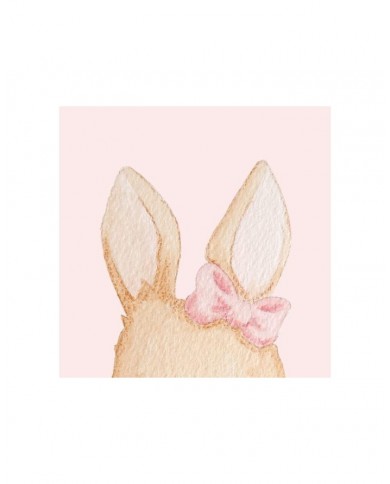 Caja Cadabra CARROT  Aluacid