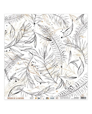 Kit de Vellum x 4  Tracing Kit GOLD SEASON FDPC320016