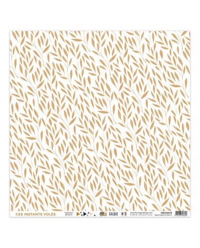 Kit de Vellum x 4  Tracing Kit GOLD SEASON FDPC320016