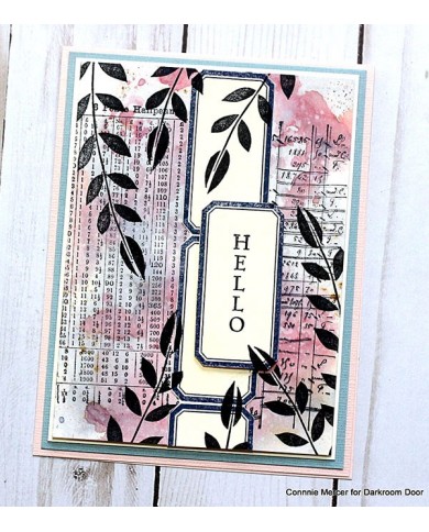 Sellos Darkroom Lots of Labels