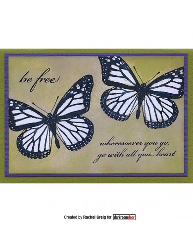 Sellos Darkroom Wings DDRS091