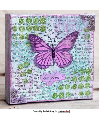 Sellos Darkroom Wings DDRS091