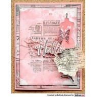 Sellos Darkroom  Gazette