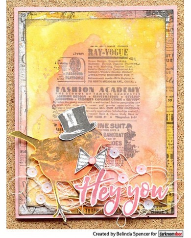 Sellos Darkroom  Gazette