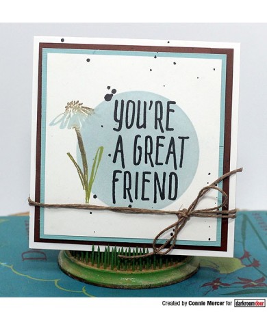 Sellos Darkroom Great Friend