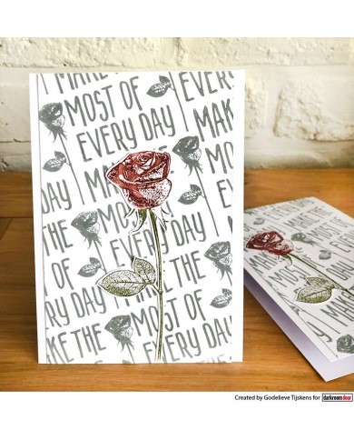 Sellos Darkroom Make The Most